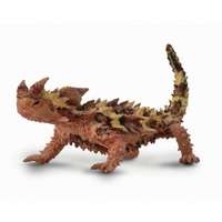 【 COLLECTA 】棘蜥