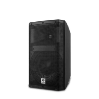 Professional active speaker with DSP for outdoor