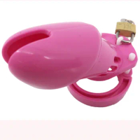 Sex Toys CB6000 Male Chastity Device Cock Cage With 5 Size Rings Brass Lock Locking Number Tags