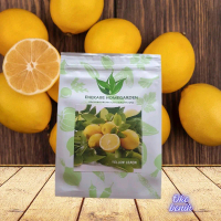 10 BUTIR BENIH LEMON KUNING IMPORT