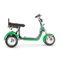 electric tricycles with seat and 3 wheels 4000w 20ah Lithium Battery eec 3 Wheel electric Scooter Cargo Double Motor