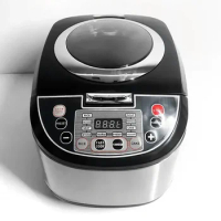 intelligent rice cooker 5L large capacity rice cooker multi-function cooking Congee soup cooker 110v