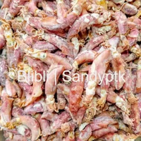 Cumi Asin - Cumi Telur Asin Cumi Bulat Sotong Asin Kering Khas Pontianak