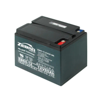 【CSP】EB65-12膠體電池12V65Ah(電動車 電動搬運車 電動堆高機 電動叉車 油壓拖板車)