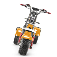New EEC COC citycoco 4000w europe warehouse electric scooters with fat bike tire 3 wheel 60V 40AH battery e scooter