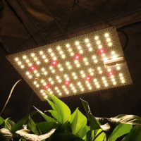 65W Samsung LM301H + CREE XP-E2 660NM Quantum led board full spectrum led grow light for indoor veg