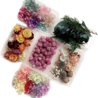 【BJ SHOP】植物果實 花材 花藝材料包 浮游花 浮油花 乾花(天然乾燥花 永生花)