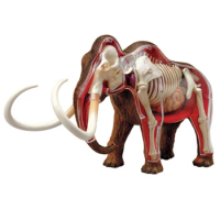 4D Vision Animal Woolly Mammoth Anatomy Model 30 Parts Detachable Simulation Wildlife Animal Model Figurines Toy Kids Gift