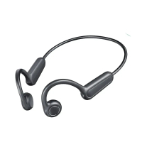 LANGSDOM BE13 骨傳導藍牙5.3 運動耳機 黑色 (v277)