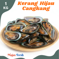 KERANG HIJAU Segar - Kerang Ijo Cangkang Fresh | 1.000gr [ Harga Per KG ]