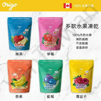 [VanTaiwan]加拿大代購 Origo 加拿大品牌 水果凍乾 方便攜帶 20g/ 25g