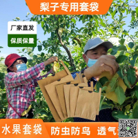 桃子套袋蘋果專用袋子水果枇杷柚子防蟲黃金梨套果袋防水果樹袋子-UM.有米家居