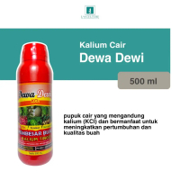 Pupuk Pembesar Buah Dan Umbi Dewa Dewi KCL 500 Ml Tinggi Kalium