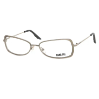 【ANNA SUI 安娜蘇】時尚經典漸層造型平光眼鏡(銀 AS04103)