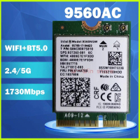 đầu pha lê Card wifi 9560NGW băng tần kép - Intel® Wireless-AC (M.2/NGFF/2230 CNVi)
