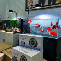 Đèn A60 phiên bản nâng cấp của ZAQUA công nghệ chip bản FISH đèn RGB + UV 6in1 60W và 80w (đỏ cá khô