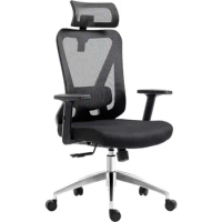 Black Truly Ergonomic Mesh Office Chair with Headrest &amp; Lumbar Support