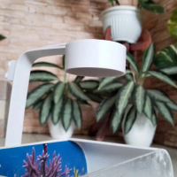 lampu led aquarium mini - model 1, dengan adaptor
