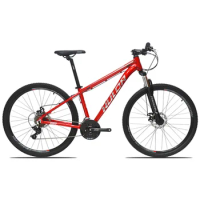 2024 TWITTER-Eve MTB fatbike 21-speed alloy internally wired dual disc brakes for mountain bike bicicleta велосипед