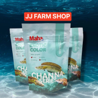 Pelet ikan channa predator MAHA EXOTIC COLOR ikan hias oscar pbass