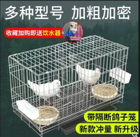 鴿子籠養殖籠家用大號特大繁殖配對鴿子籠大型不銹鋼色鴿子籠鳥籠
