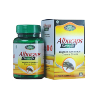 Darusyifa Albucaps Ekstrak Ikan Gabus Channa Striata 60 Kapsul