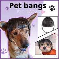Rambut palsu haiwan peliharaan untuk kucing, alat cosplay, rambut kerinting/lurus, kostum gurauan an