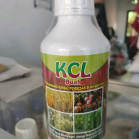 Pupuk KCL PERANGSANG BUNGA, PEMBESAR BUAH DAN UMBI 1liter