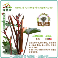 【綠藝家】G101.赤焰紅秋葵種子3克(約50顆)