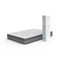 Informa Sleep 120x200x28 Cm Cuscomax Kasur Pocket Spring Bed In Box