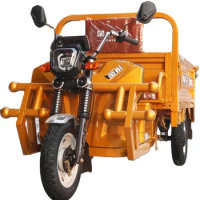 tricycles Electric Pedicab powerful adult electric handicapped scooters motor cyclecustom