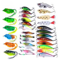 Luya Fake Bait Set Hengjia New Fishing Gear Set Wholesale Sequined Thunder Frog Vib Minnow Rock Fake