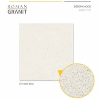 ROMAN GRANIT 60x60 Matte dTerazzo Bone GT602600R
