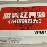 Daban Hg Sengoku Astray WM61846