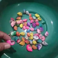 Mainan edukasi 5 ekor umang umang/kelomang warna warni