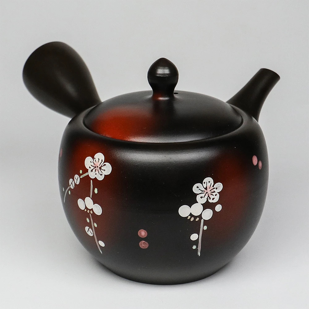 茶棗日本的價格推薦- 2025年10月| 比價比個夠BigGo