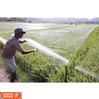 Jaring burung sawah lebar 7,5m panjang 100yds jaring burung pipit jaring burung emprit jaring burung