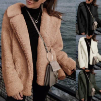 Fall/winter Women's Faux Fur Coat Fluffy Teddy Jacket Jacket Long-Sleeved Jacket Refused Short Jacket Women