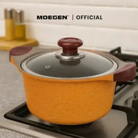 Moegen Germany Casserole / Stock Pot 24cm Granite Series Orange