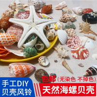 寄居蟹殼卷貝魚替換專用殼天然海螺殼繁殖魚缸造景水族箱裝飾套裝