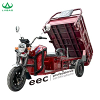 LB-LB160 Cargo tricycle electric trike three wheeler 3 wheel bike with 1000W motor and cargo bed
