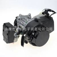 49CC 2 Stroke Engine Motor Racing Complete Small Car 40-6 Engine