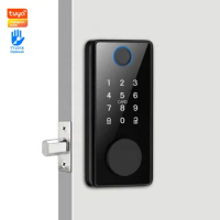 Factory sales TtLock Tuya smart Wifi Controlled Digital Automatic Fingerprint Deadbolt Electric Bolt Door Lock
