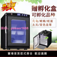 小型烏龜蛋自動孵化機爬蟲動物孵化器蜥蜴孵蛋器車載冰箱冷熱箱