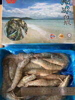 【海鮮肉舖】活凍大白蝦36/40 (700g ±10%/盒)
