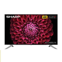 SHARP 夏普 60型4K Android TV 顯示器 4T-C60DL1X 無視訊盒 送基本安裝