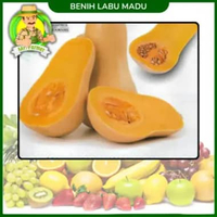 Benih Buah Buahan Semangka Strawberi Melon Labu Benih Bibit Murah Berkualitas Labu Mentega