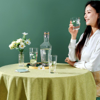【特價清倉】小雛菊玻璃酒瓶空瓶高檔創意冷水玻璃壺涼水壺玻璃