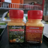 PACLOBUTRAZOL 90%
