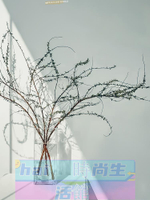 免運 可開發票 玻璃花瓶 雪柳枝花瓶玻璃透明養雪柳鮮枝干支高款插花長枝雪柳瓶干枝花器